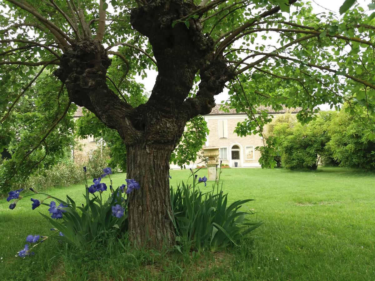 Relais Villa Roncuzzi Russi Exterior photo